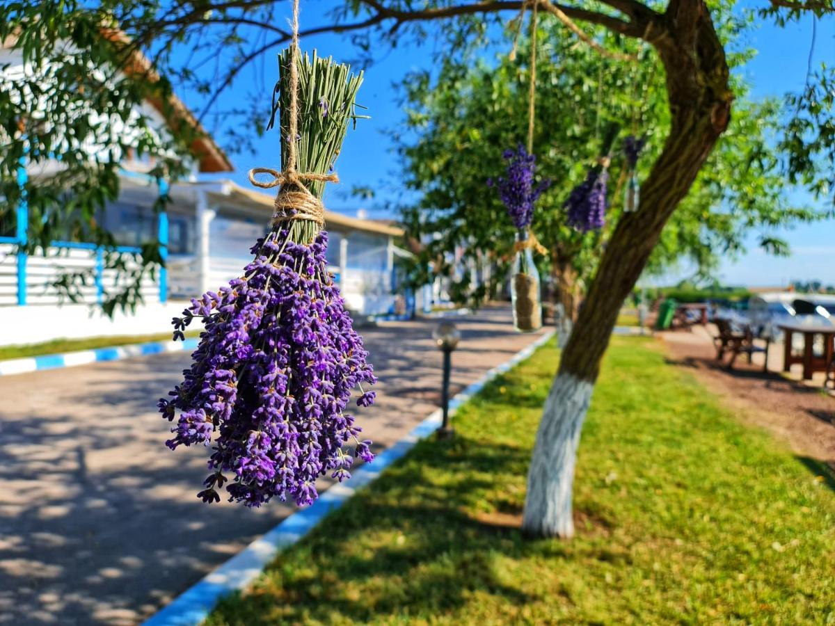 Casa Pescarilor Otel Lunca  Dış mekan fotoğraf